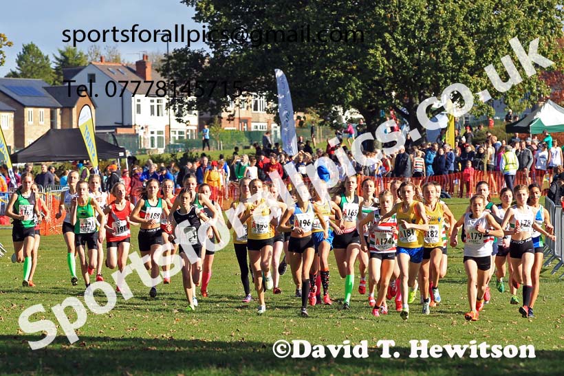 Girls under-15s 2022 Northern Cross Country Relays, Graves Park, Sheffield. Photo: David T. Hewitson/Sports for All Pics